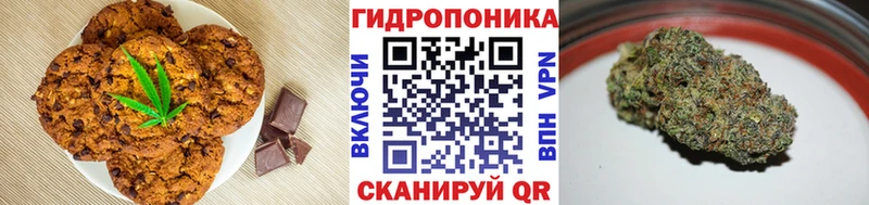 hydra маркетплейс  Коркино  Cannafood марихуана 