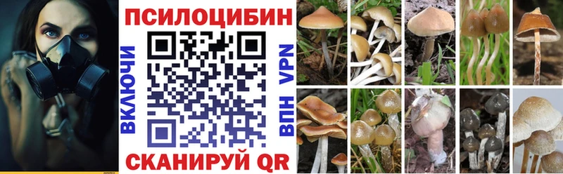 кракен ссылки  Коркино  Псилоцибиновые грибы мицелий 